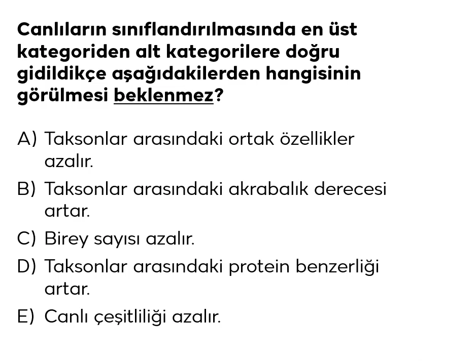 Resim