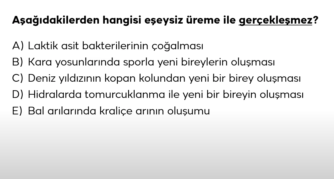 Resim