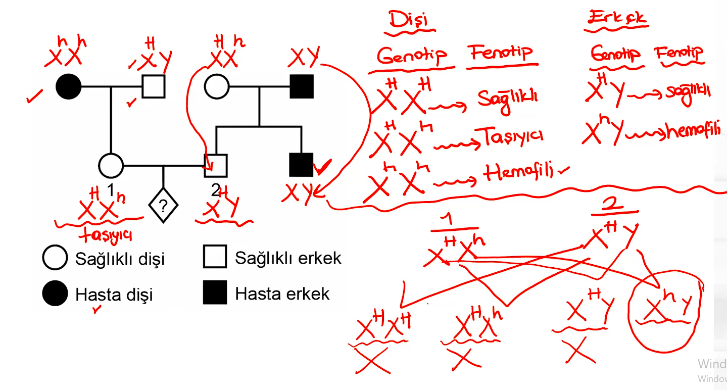 Resim
