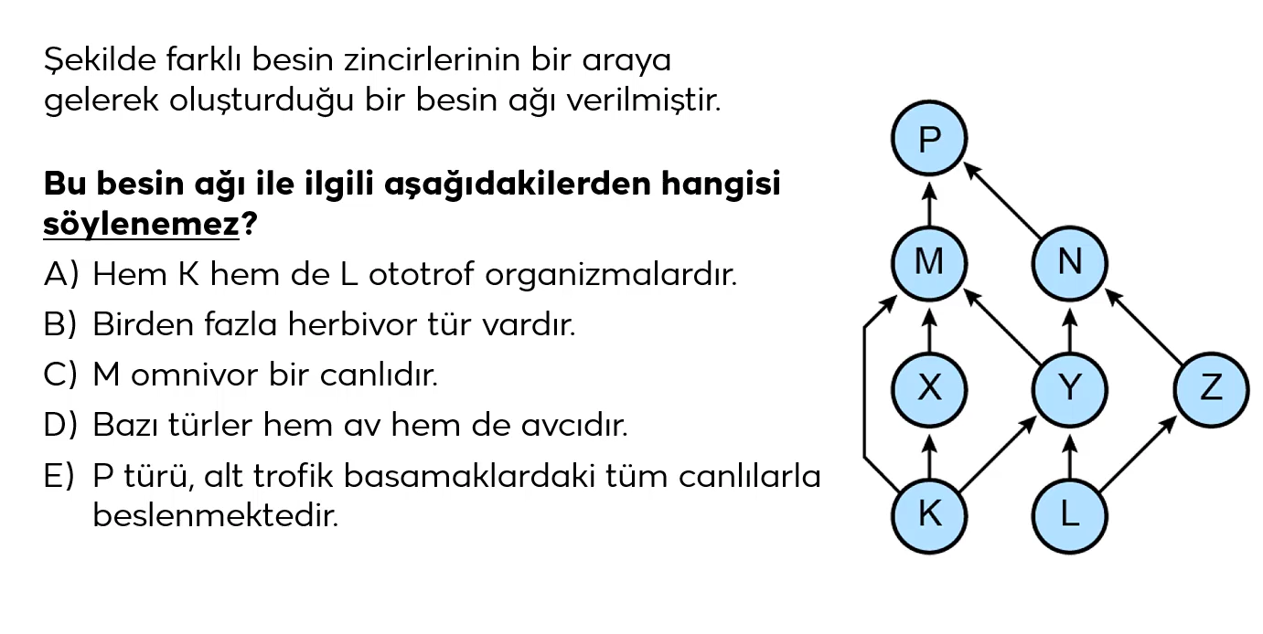 Resim
