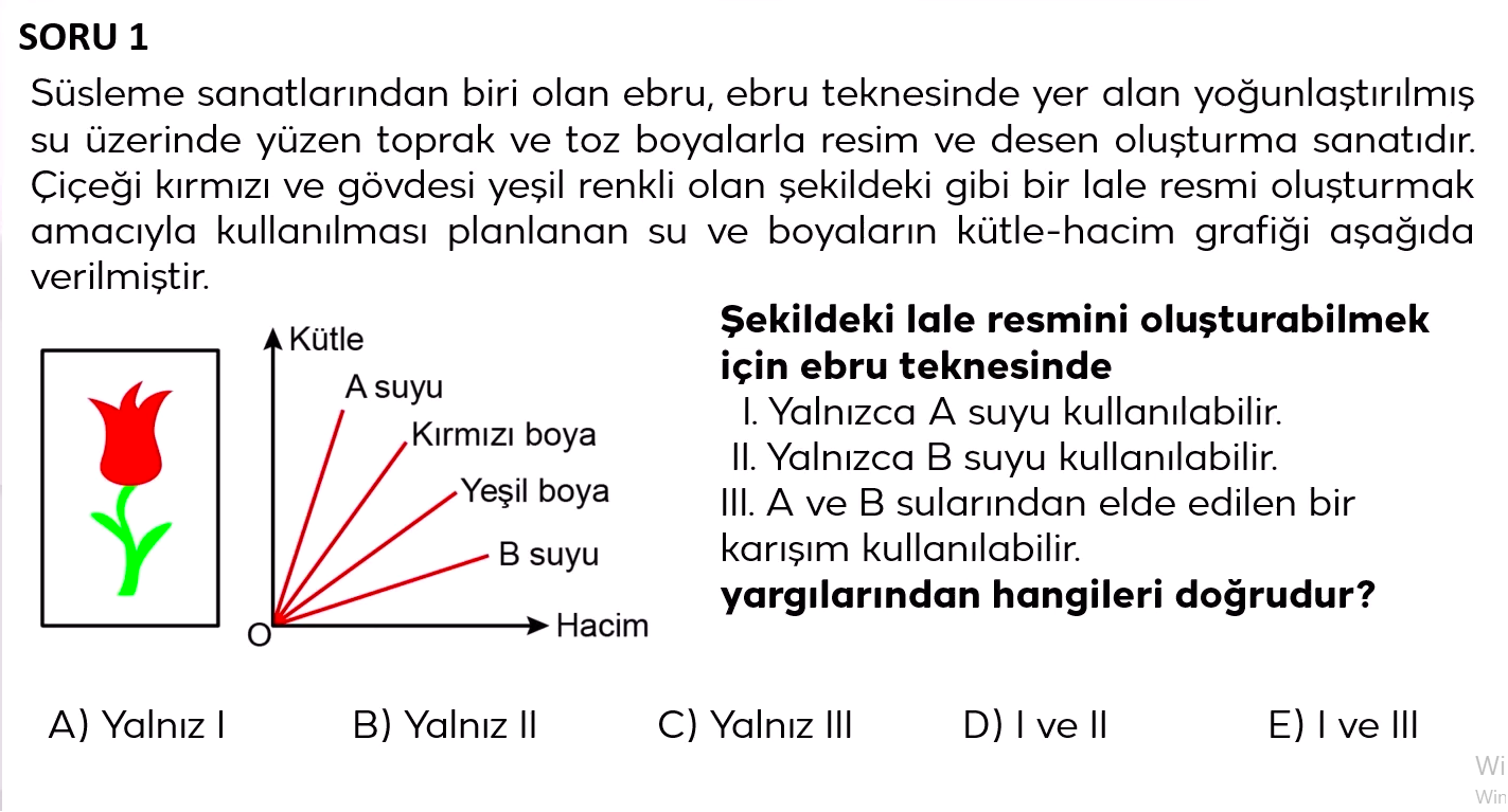 Resim