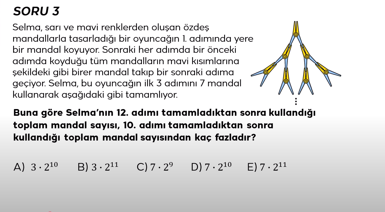 Resim
