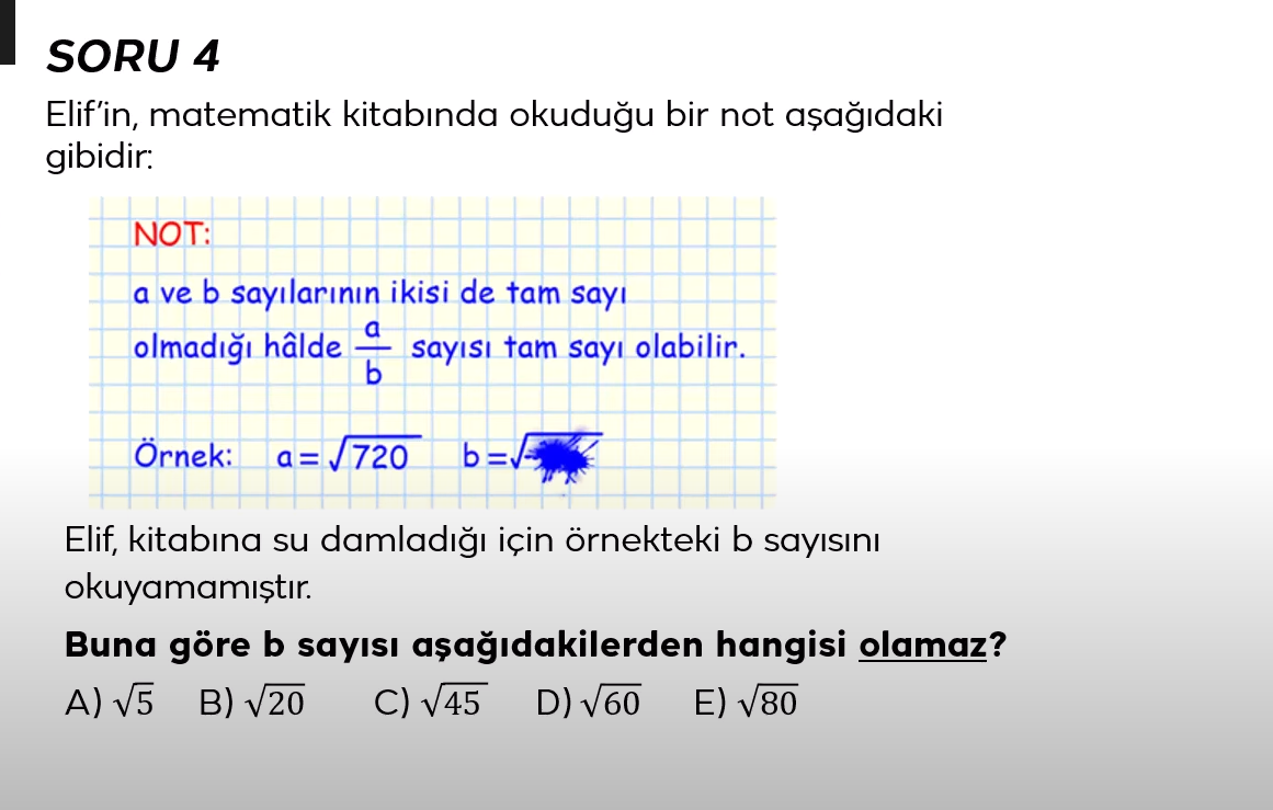 Resim